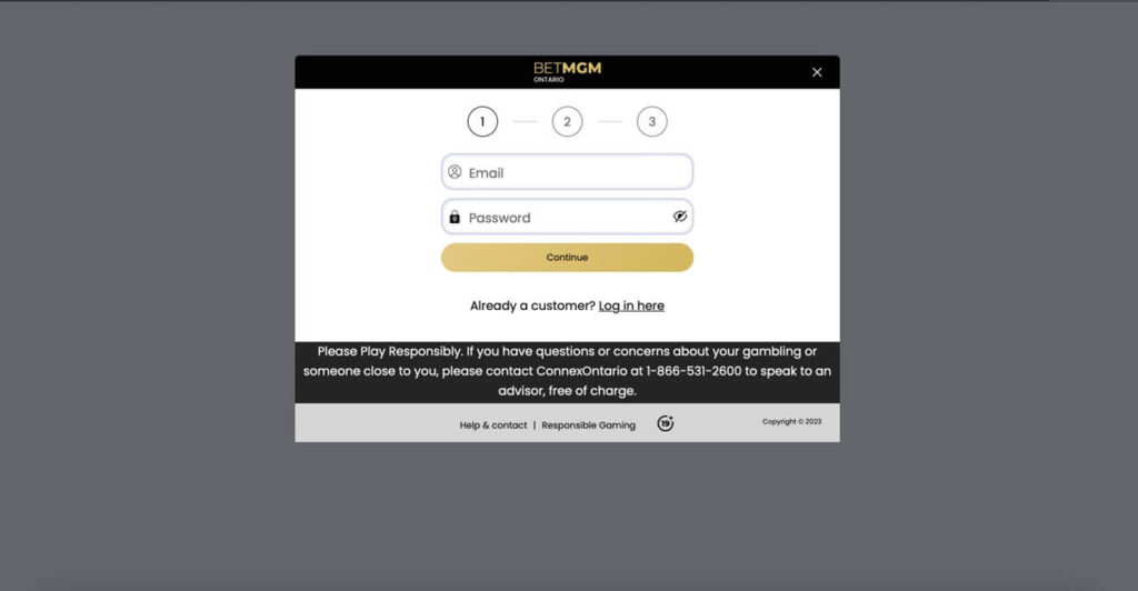 BetMGM - Fill in your email & password